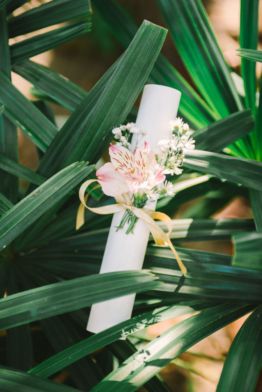 Descripción de la imagen 3